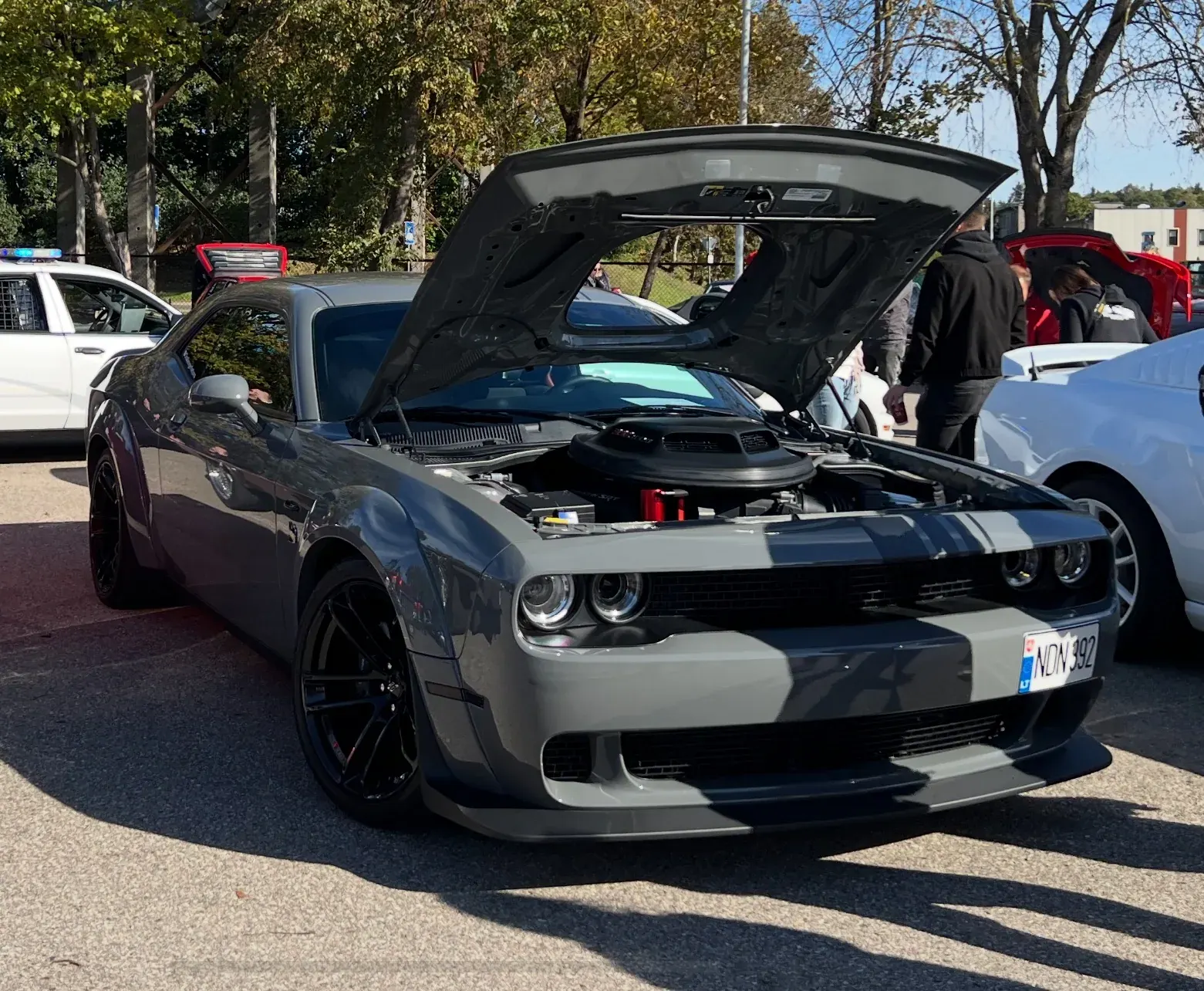 Dodge Challenger · 6
