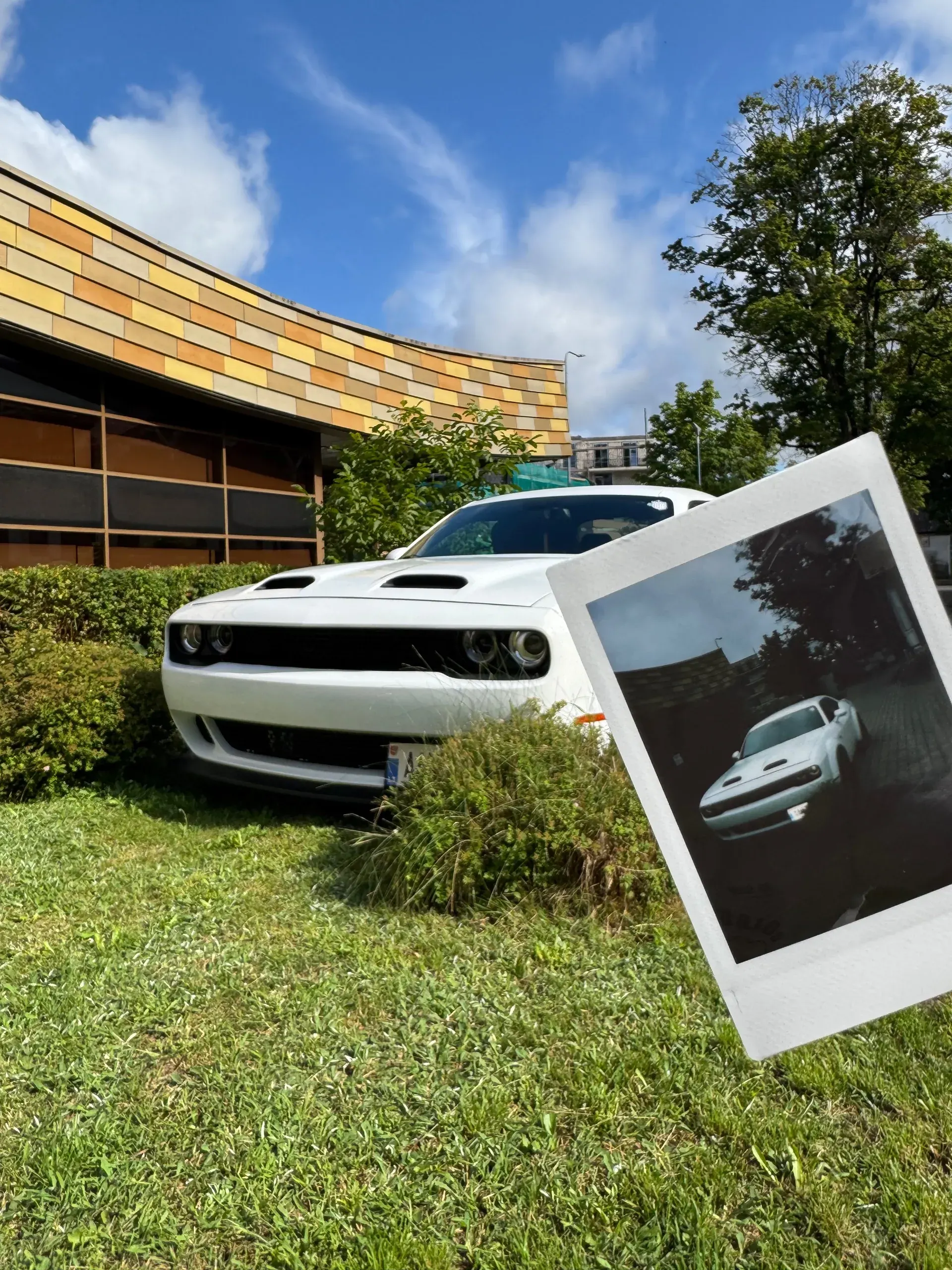 Dodge Challenger · 2