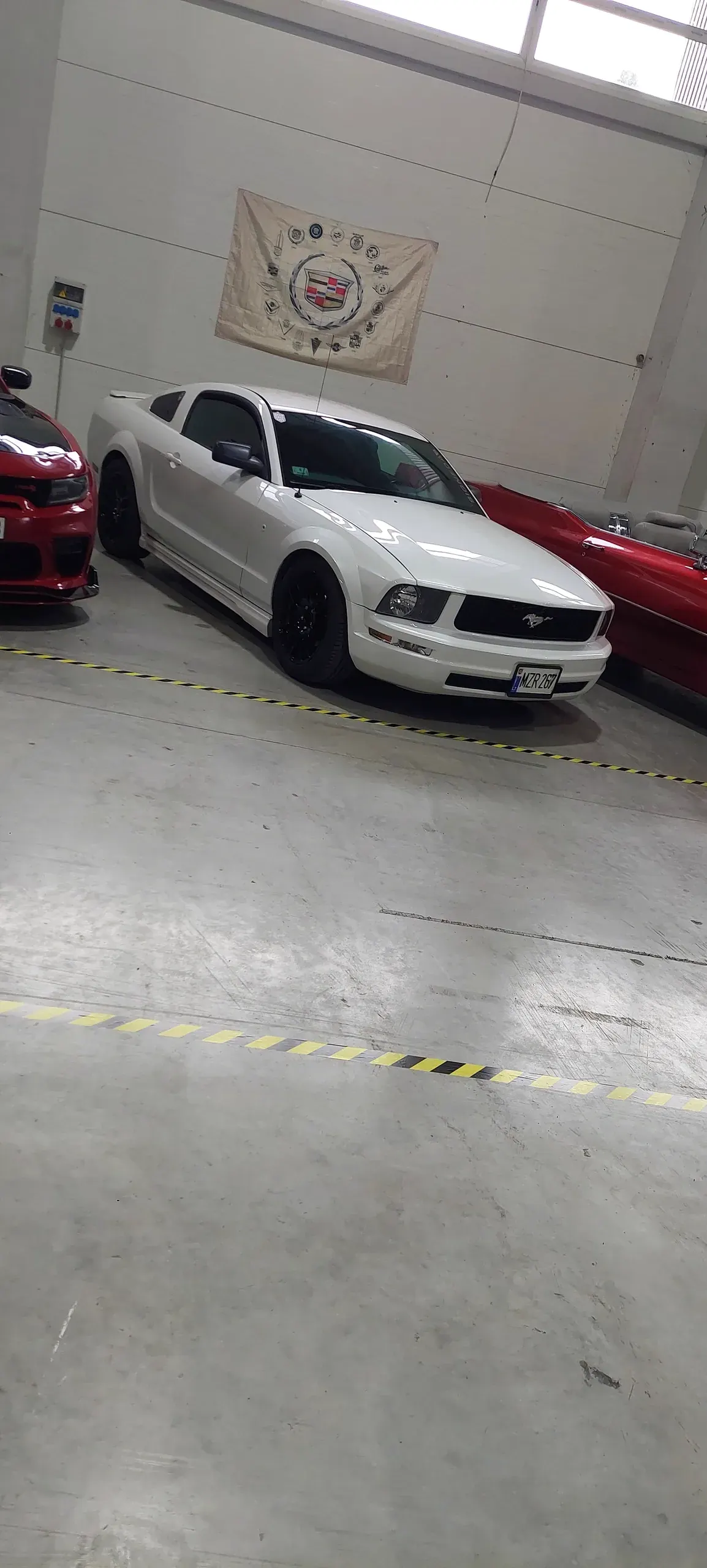 Ford Mustang · 1